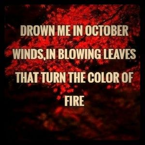 Meet your Posher, Cheyenne